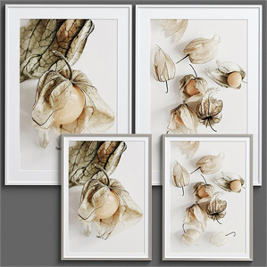 Framed Print P-204